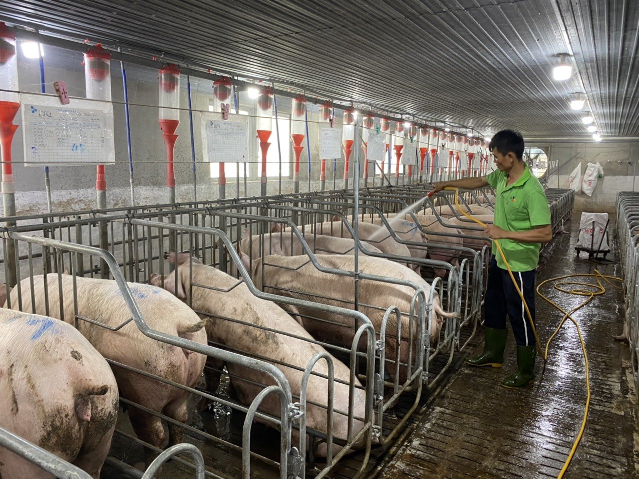 Giới thiệu Hộ Kinh Doanh Nguyễn Thị Hoa